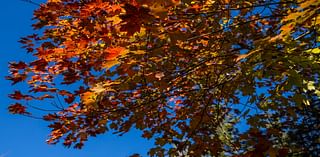 See U.P. fall color at a slower pace with Copper Country bicycle tour