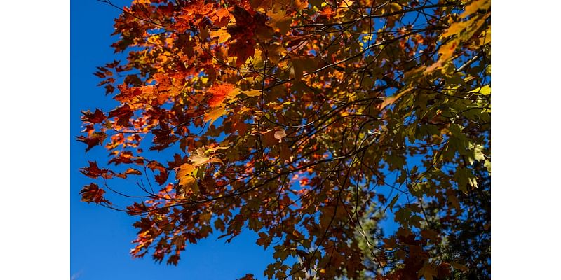 See U.P. fall color at a slower pace with Copper Country bicycle tour