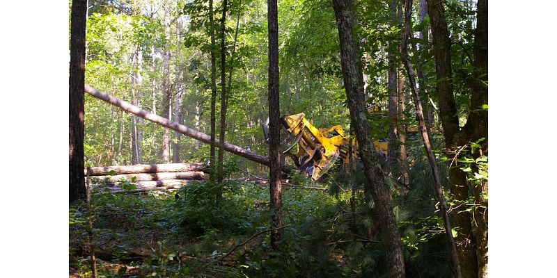 Georgia lawmakers looking to promote emerging markets for struggling timber industry