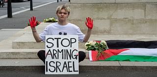 Revealed: Pro-Palestine mobs' disrespectful plan to 'swarm' UK cities and disturb Armistice Day events with anti-Israel protests