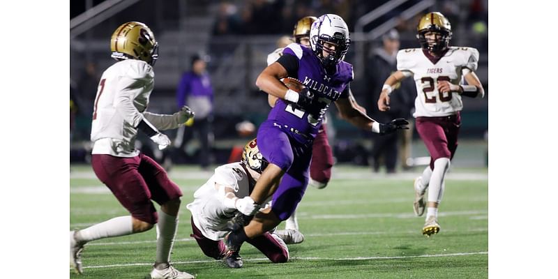 Goodhue falls on last-minute play in football state quarterfinals