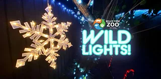 Miller Park Zoo to Host Annual Wild Lights Event in December