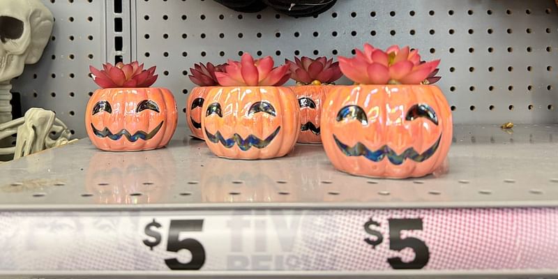 I went Halloween shopping at Five Below with a $50 budget and think the competition should be scared