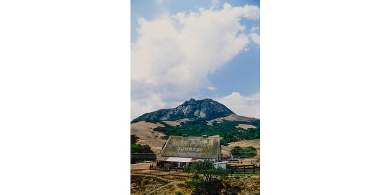 Highway 1 barn sign was iconic ‘part of our California countryside.’ What happened to it?