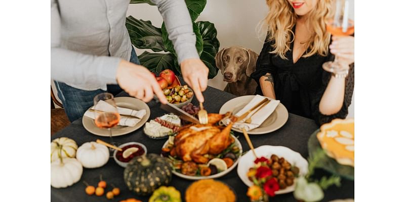 Please don’t feed the dog Thanksgiving table scraps – Houston Public Media