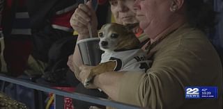 Thunderbirds host Pucks and Paws event for fans and dogs