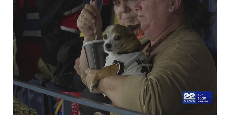 Thunderbirds host Pucks and Paws event for fans and dogs