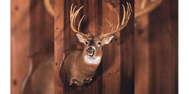 Where in Pa. have hunters bagged the biggest bucks since 1830?