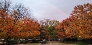 D.C.-area forecast: Much cooler today with periods of light rain