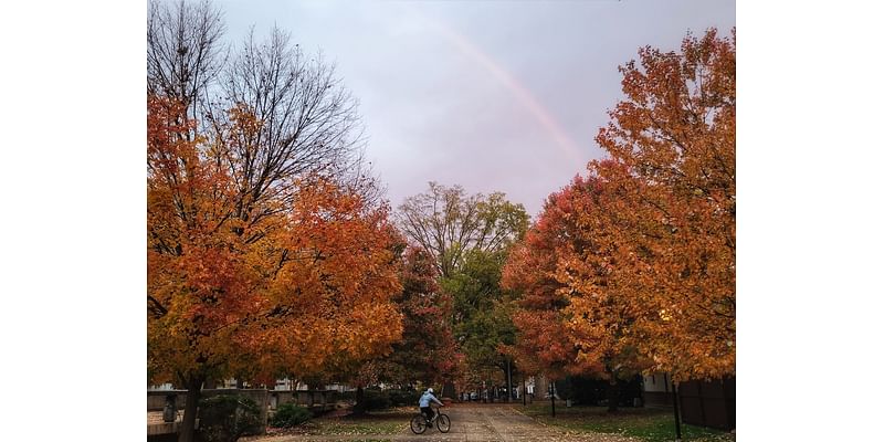 D.C.-area forecast: Much cooler today with periods of light rain