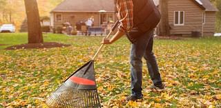 Should you rake your leaves or let them be? A Pittsburgh-area arborist weighs in