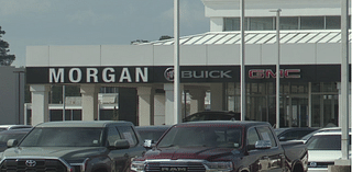 More than 20 cars stolen from car dealership, says SPD