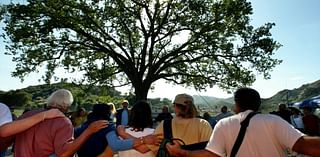 Here’s how the ‘Old Glory’ oak tree historic landmark came to be