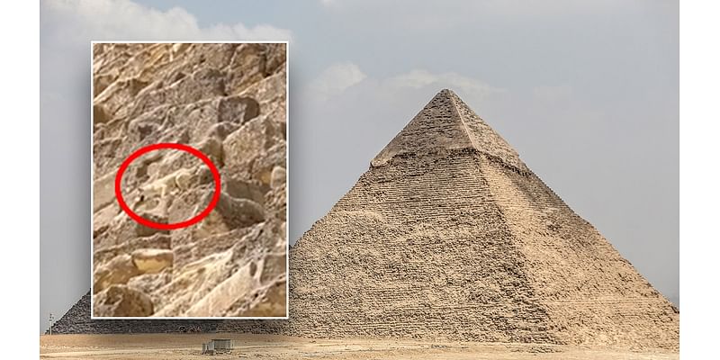 WATCH: Daring dog spotted on top of Egypt's Great Pyramid makes expert descent as onlookers gaze in amazement