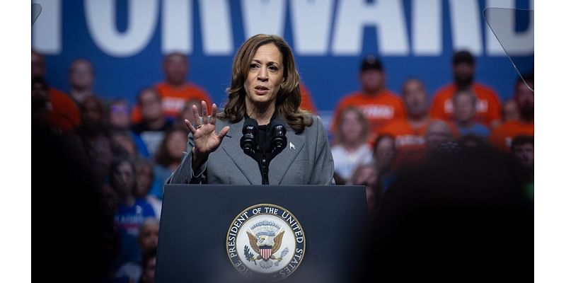 Kamala Harris' longest-running campaign confidant could chart path to victory: Strategists