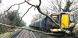 Operator dies, passengers injured as New Jersey train hits tree chunk