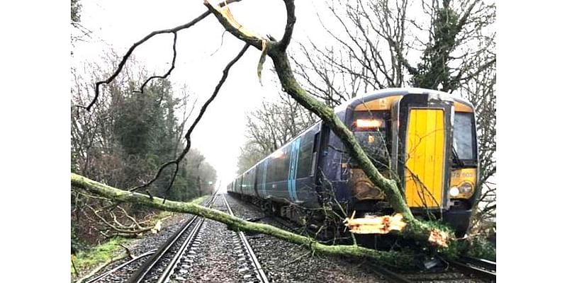 Operator dies, passengers injured as New Jersey train hits tree chunk