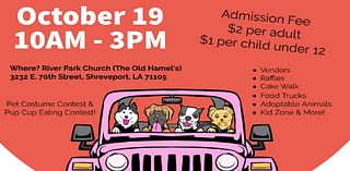 Find your furry friend at Paws in the Park