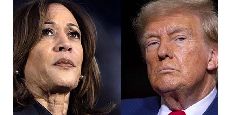 Harris concedes presidential race, sends message to campaign staff: 'Losing is unfathomably painful'