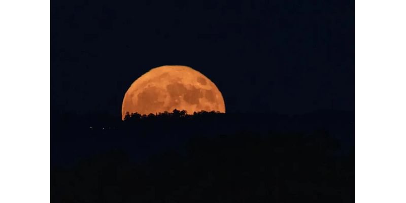 Beaver moon: How to catch the year’s last supermoon