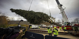 Man who grew Rockefeller Christmas tree with heartfelt story might miss lighting ceremony