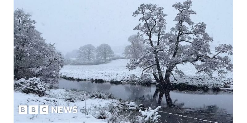 Watch: Snow falls across parts of the UK