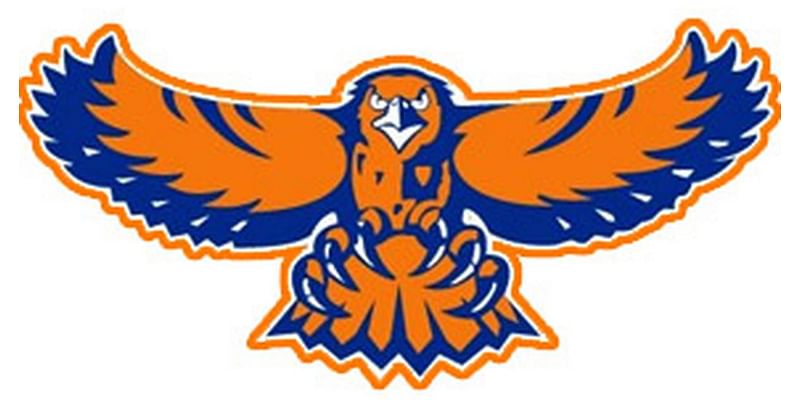 Hoffman Estates flies past Vernon Hills, stays unbeaten heading into MSL play