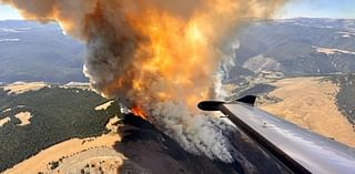 Elk Fire spreads in Bighorn National Forest