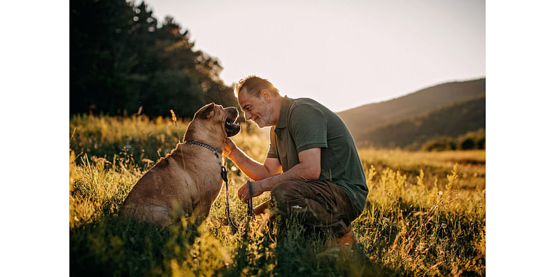 How to Care for an Aging Pet, According to Veterinarians