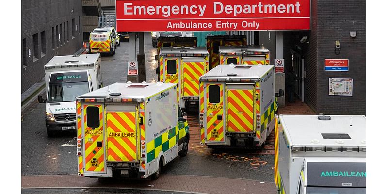 Anger as patient is forced to wait TWO DAYS for an ambulance to show up as Scotland's 999 crisis deepens