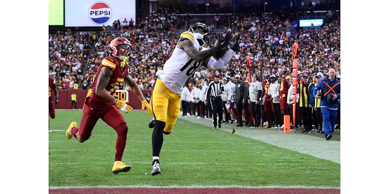 Mike Williams becomes Steelers' hero with game-winning TD grab in first game