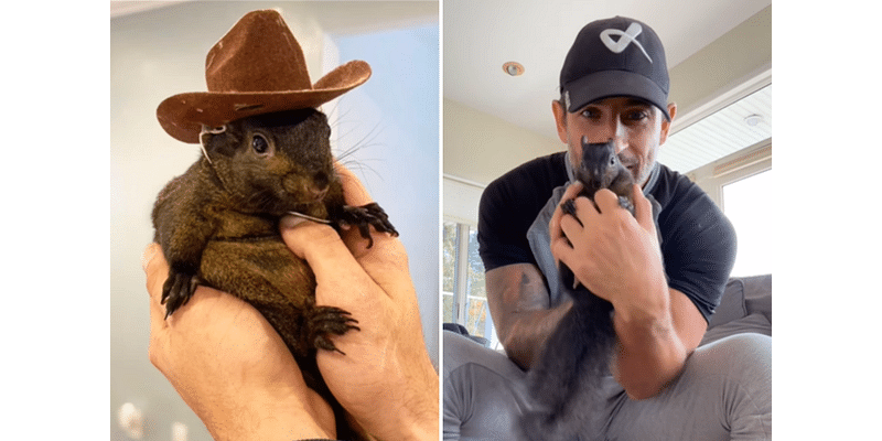 Peanut the Squirrel's Death Sparks Bomb Threats As Officials Work From Home