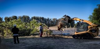 Powerful winds and low humidity raise wildfire risk across California as blaze erupts near Malibu