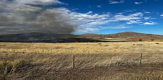 Wildfire in Larimer County contained, no injuries reported