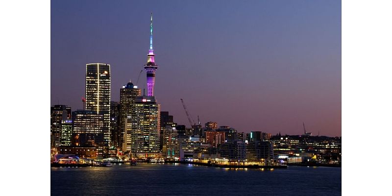 New Zealand central bank paints grim economic outlook