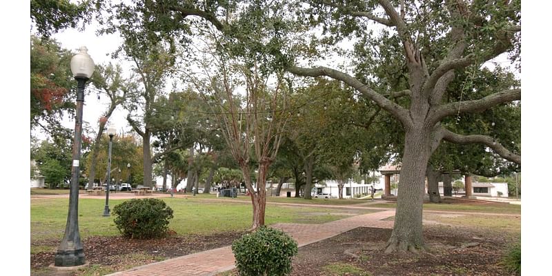 McKenzie Park redesign project features new playground equipment