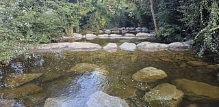 Barrier removal project at Co Wicklow’s Ballinglen River completed