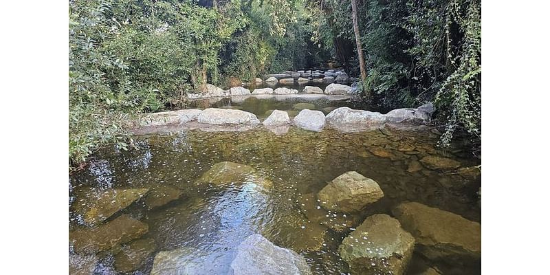 Barrier removal project at Co Wicklow’s Ballinglen River completed