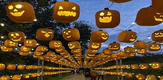 Pumpkin Nights returns to Austin, D-FW area in time for spooky season