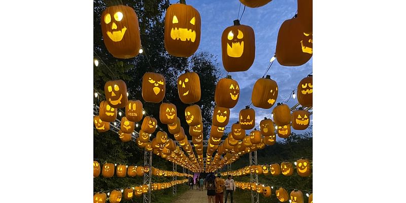 Pumpkin Nights returns to Austin, D-FW area in time for spooky season