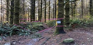 20-acre Galbraith logging project temporarily closes access to mountain bike trails