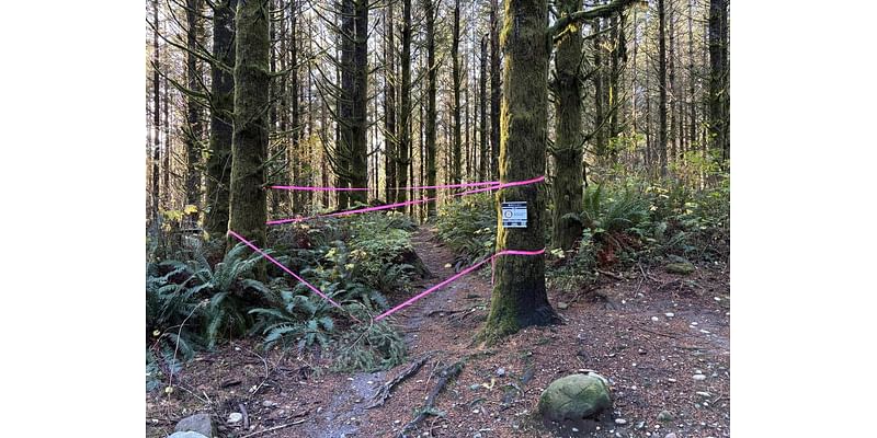 20-acre Galbraith logging project temporarily closes access to mountain bike trails