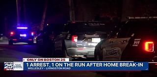 Police: One suspect arrested, another on the run following Wellesley home break-in