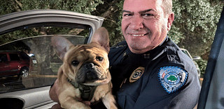 North Charleston captain locates family’s dog after auto-pedestrian accident