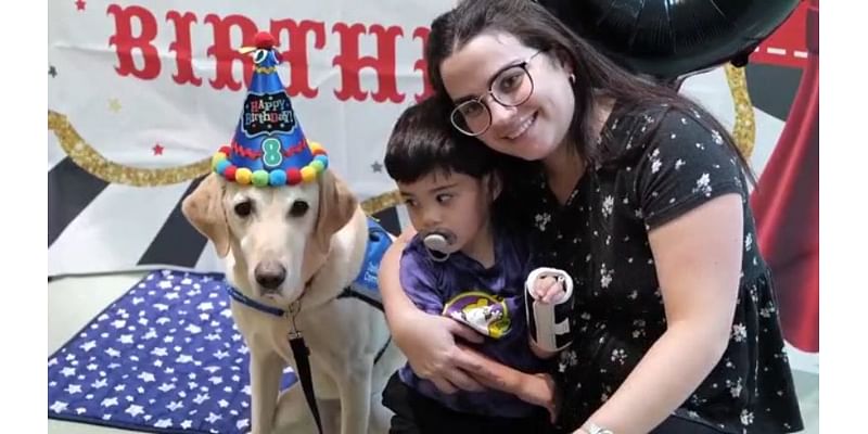 WATCH: Houston hospital celebrates dog’s eighth birthday