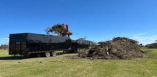 Venice hurricane debris collections are underway; here's what you need to know