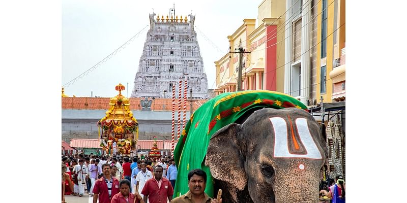 Behind Making Of Tirupati Laddoos: How Ingredients Are Procured