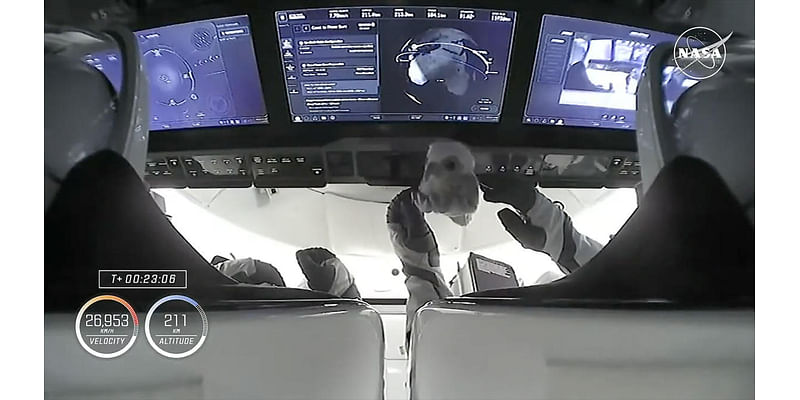 'Aurora' the baby falcon plush toy takes flight again as SpaceX Crew-9 zero-g indicator