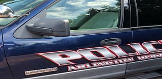 Assault Bust Made At Red Roof Inn: Arlington Heights PD Blotter