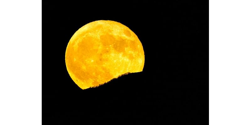 Hunter’s moon — the brightest super moon of the year — to cross night sky Wednesday